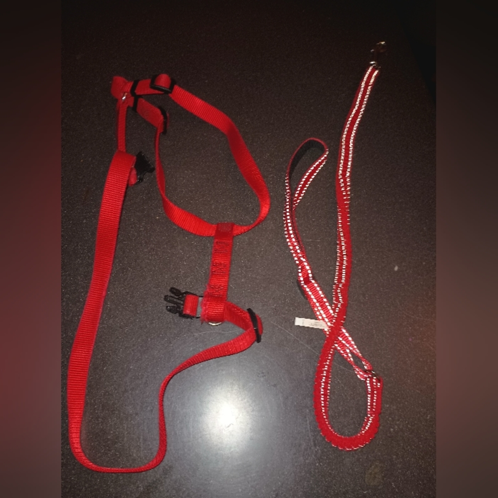 Leashes - Picture 7 of 15